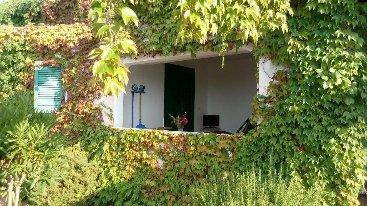 Appartamenti Salato Tropea Kültér fotó