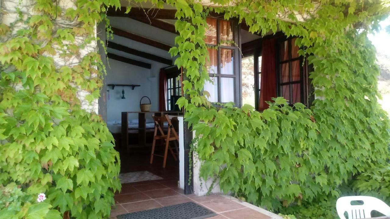Appartamenti Salato Tropea Kültér fotó